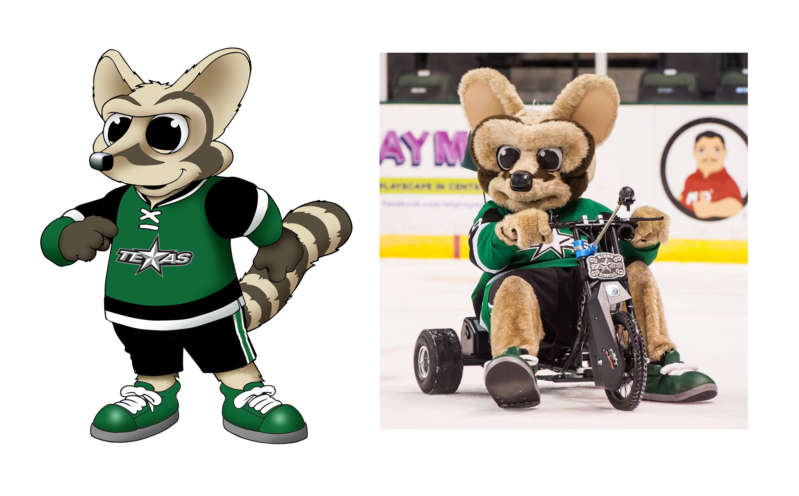 Ringo - AHL Texas Stars