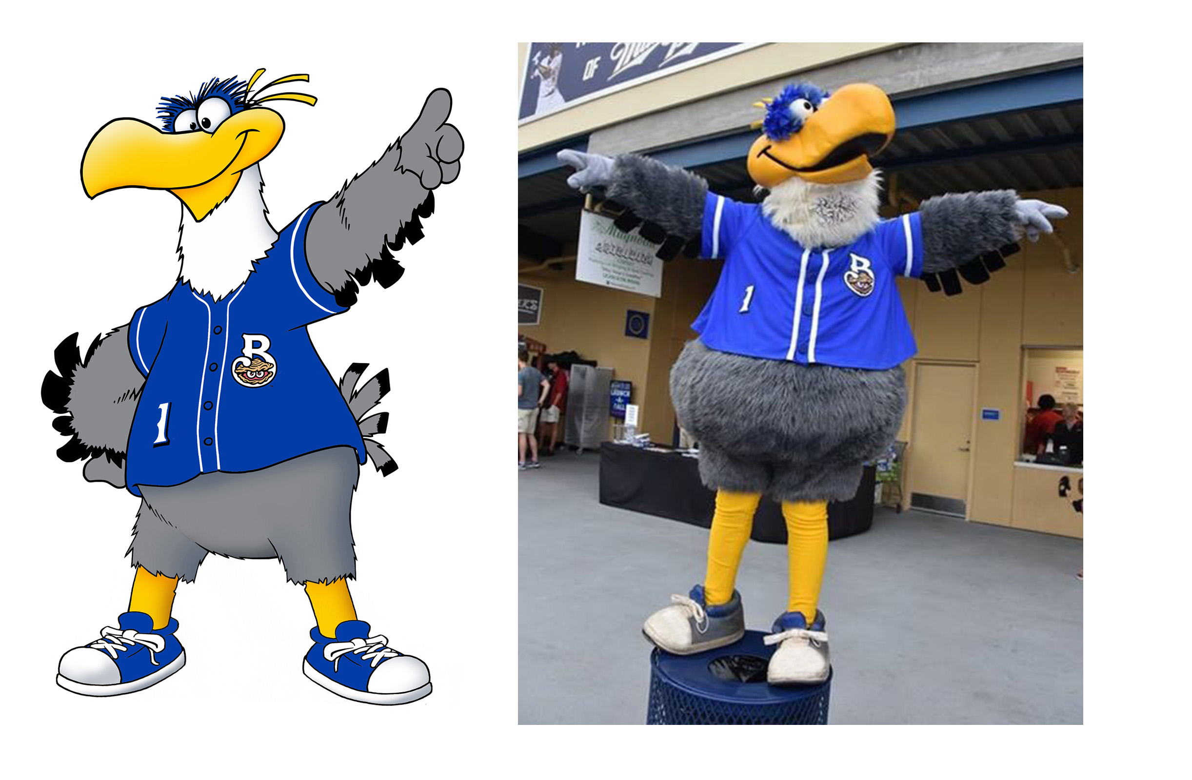Schooner - miLB Biloxi Schuckers