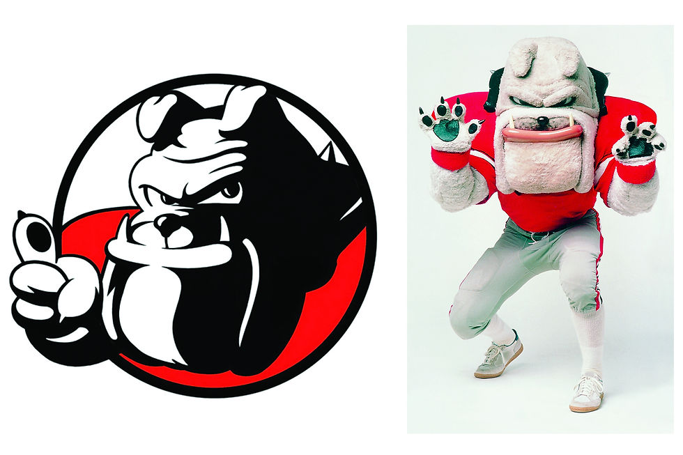 Hairy Dawg - University of Georgia