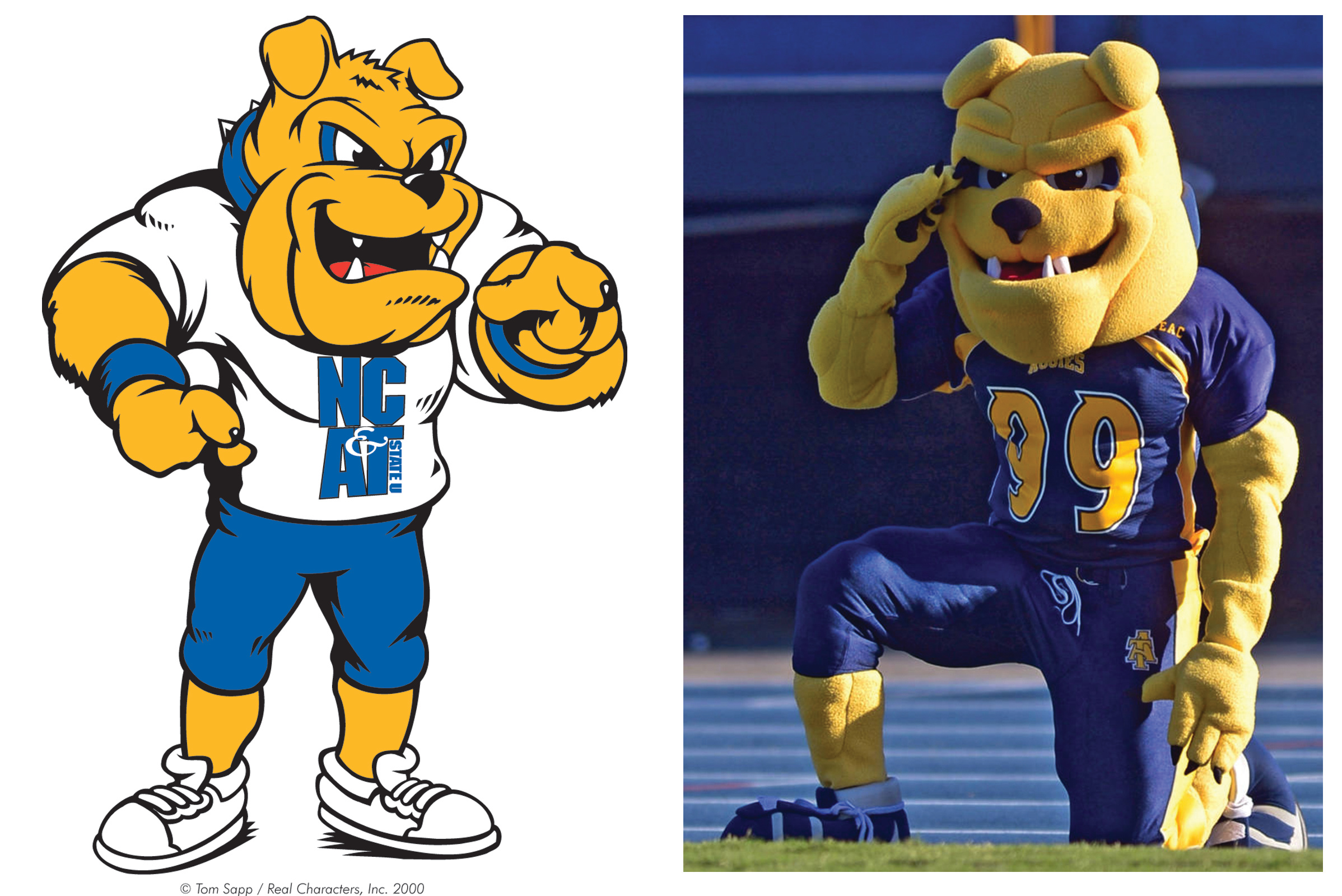 N. Carolina A&T Bulldog