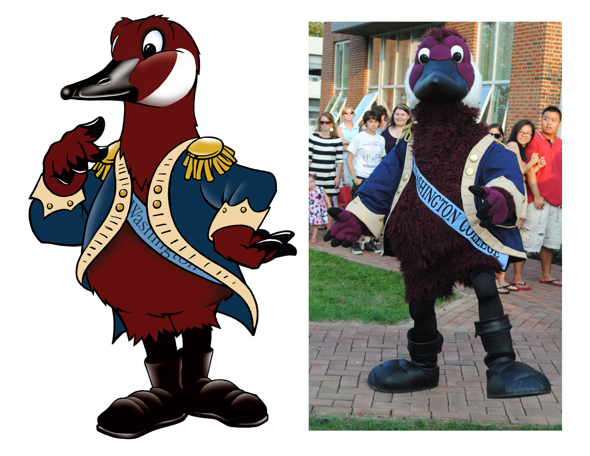 Gus - Washington College