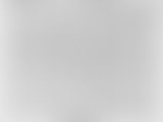 Garden Party for a Steinway and Jorge Bolet