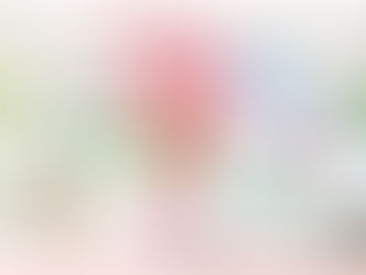 關於旅行的平安保險一些事~