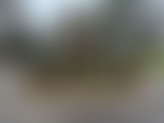 Neighborhood Standard-Bearers