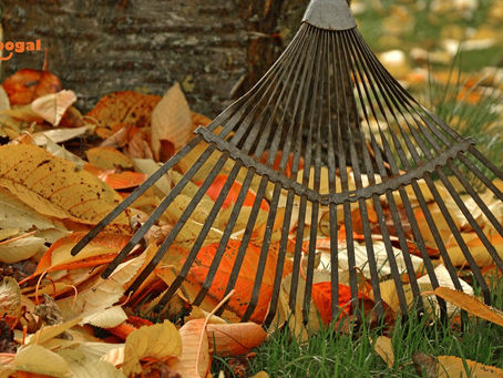 Aiken Estates Beautification Day