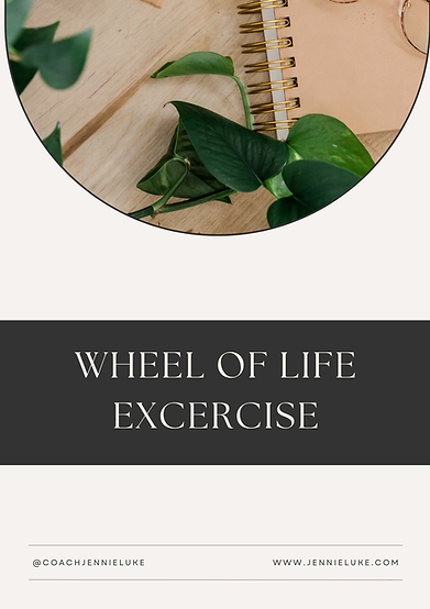 Copy of Wheel of life workbook.png