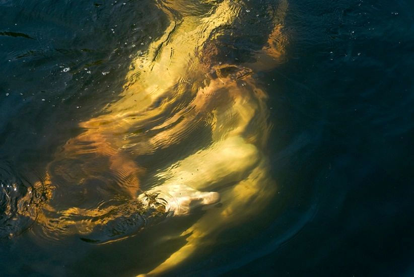 figures in water.jpeg
