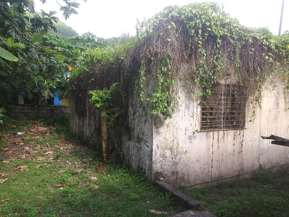 Thumbnail: Queen Nanny Service Learning  Ed-Venture