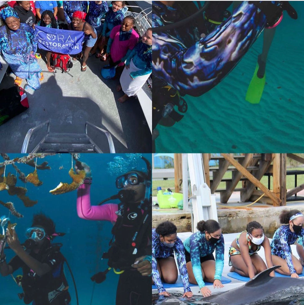 الصورة المصغرة: Environmental Ambassadors