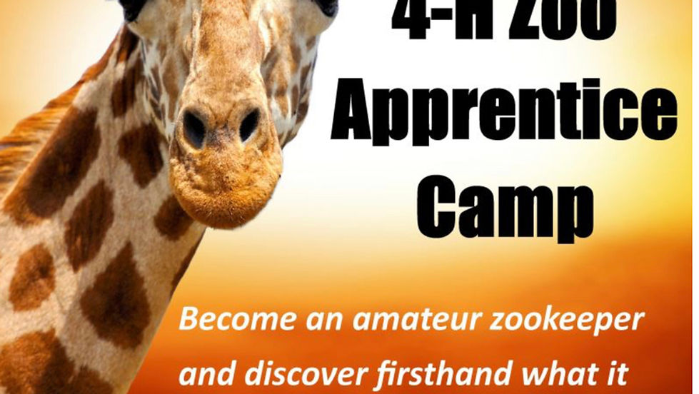 Bush Gardens 4H Apprenticeship Camp