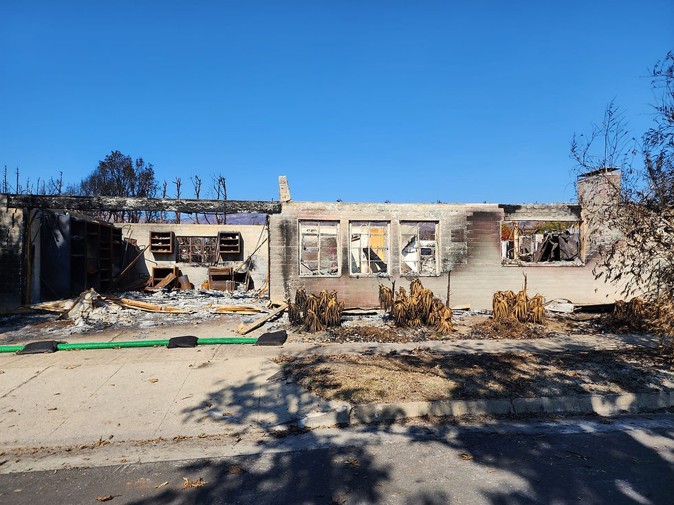 Burned building remains under clear blue sky. Charred structure with debris and dead plants around. Somber and desolate atmosphere.