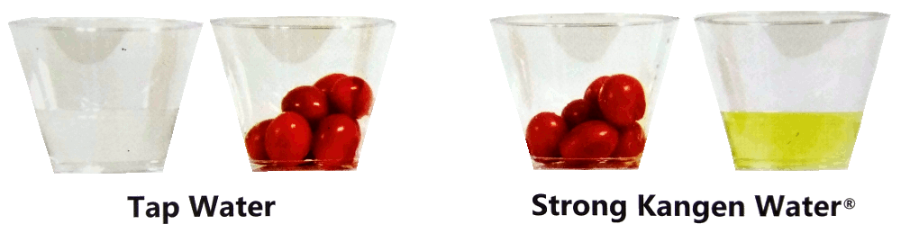 Strong-Kangen-Wash-Away-Pesticide-4-Cups