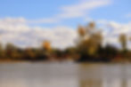 Background.jpg