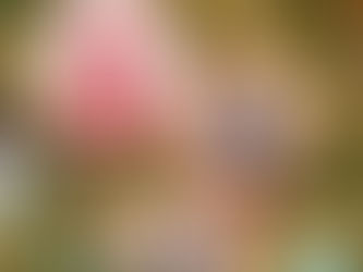 DIY Tree Round Vinyl Ornaments