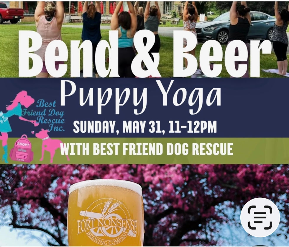 Bend and Beer puppy yoga