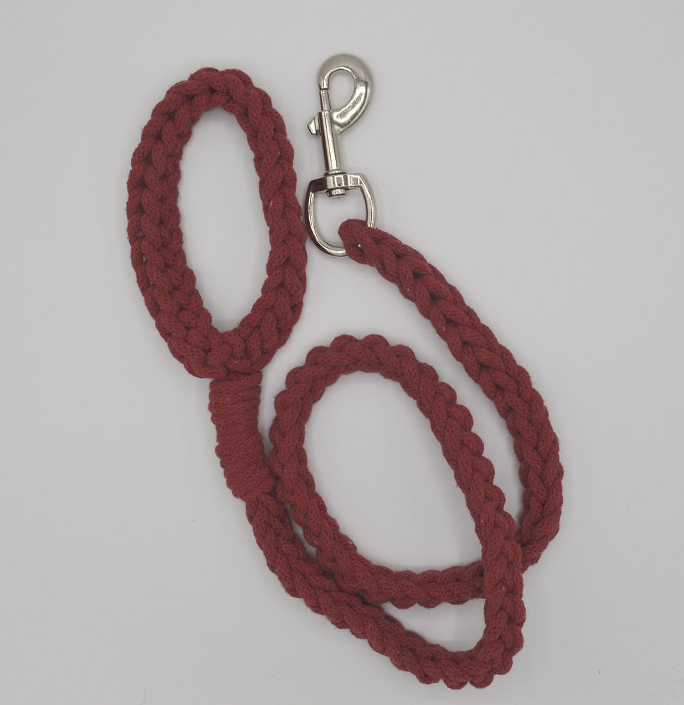 Thumbnail: Dog Lead