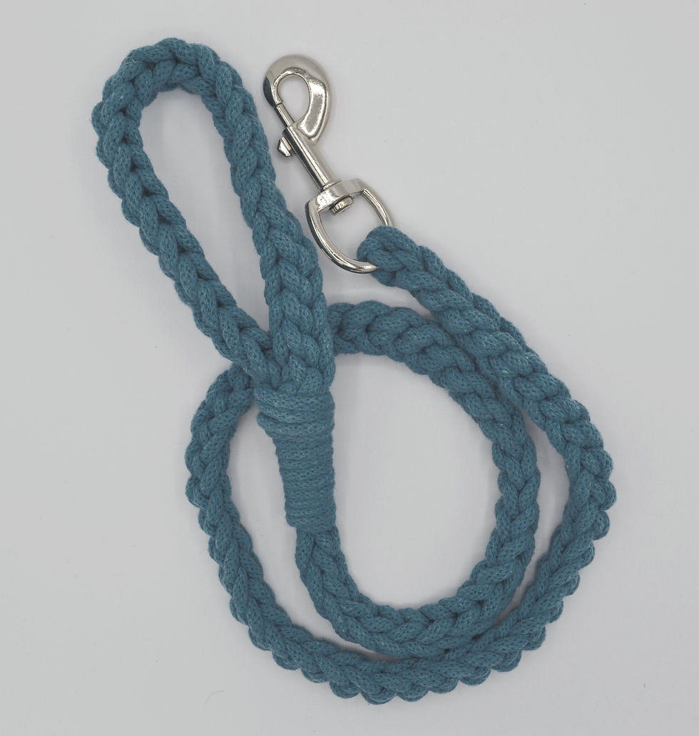 Thumbnail: Dog Lead