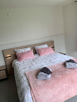 116213627_3423244351047299_7122388775618