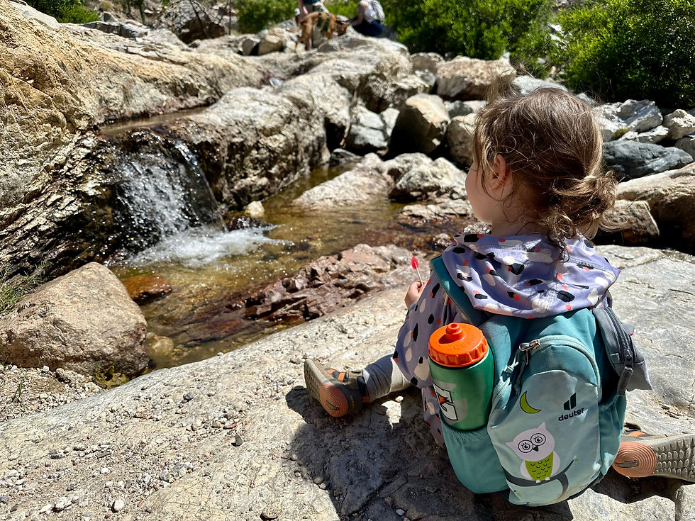 Arizona: Tanque Verde Falls