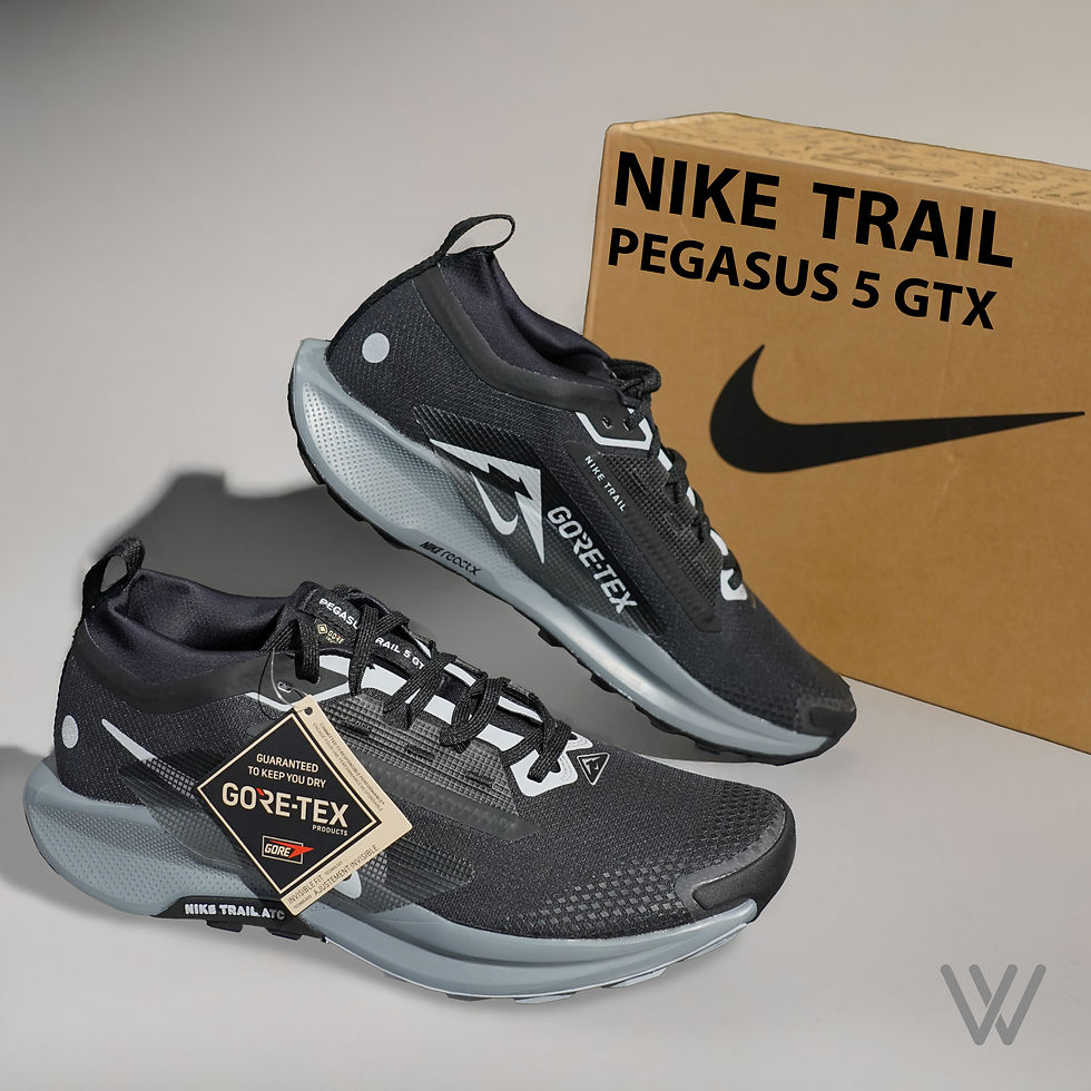 NIKE TRAIL PEGASUS 5 GTX original