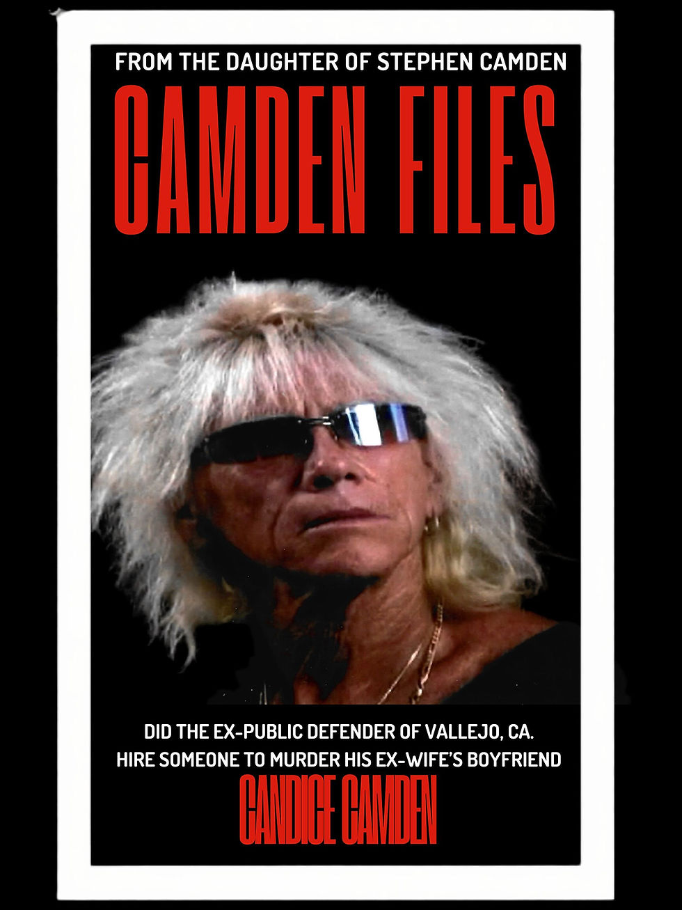 Camden Files Book Cover 2-11.jpg