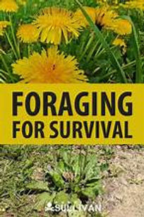 foraging for Survival.jpg