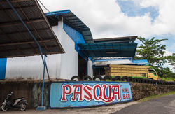 singkawangpasquapassi