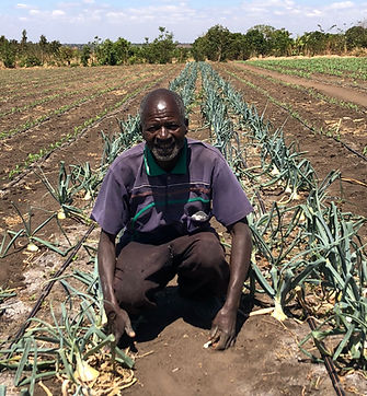 9B7E9FDA-1100-491B-A38E31406C7F0DED-malawi-usaid-success-story-farmer-with-onions.jpeg