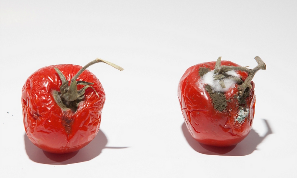 frutta con e senza quantum freebioenergy