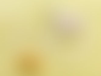 BOSCO Archive　NO.35