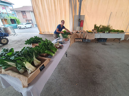 MARCÉ DE MIÉLAN LE JEUDI MATIN