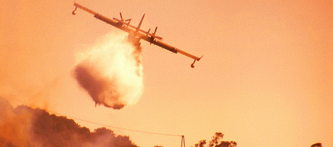 Feux de forêt : connaissez-vous les bons gestes ?