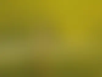 Beyond Barrels: How the Middle East Crisis Is Rewiring Global Supply Chains for Fertilizers, Gases, and Critical Materials