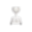 RainVue 20 Neerslagsensor