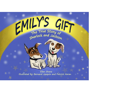 Emily's Gift