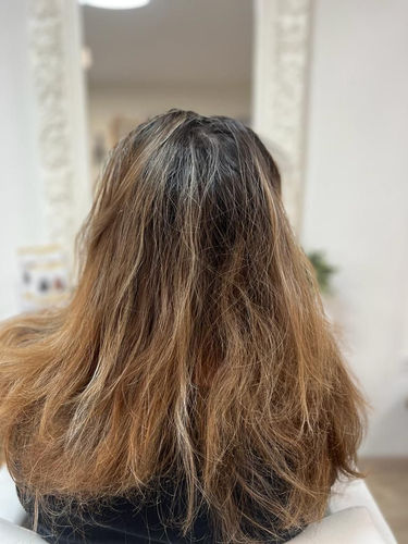 WhatsApp Image 2023-04-03 at 16.57.01.jpeg