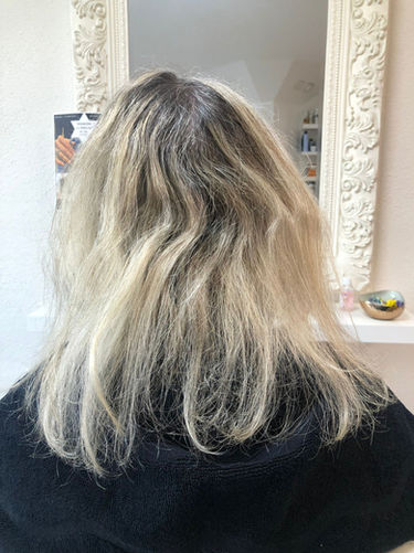 WhatsApp Image 2023-04-03 at 17.00.26.jpeg