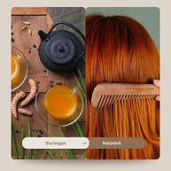 WhatsApp Image 2025-12-19 at 21.02.30.jpeg