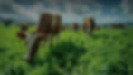 SLIDER_PRINCIPAL_02.jpg