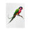 Thumbnail: Colorful parrot perched on branch