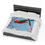 Thumbnail: Vibrant macaw parrot on a square pillow