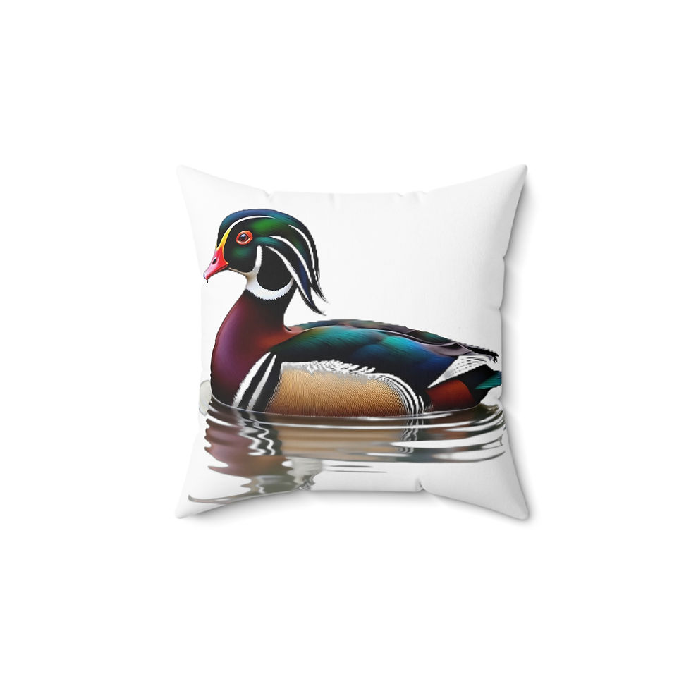 Colorful Wood Duck pillow