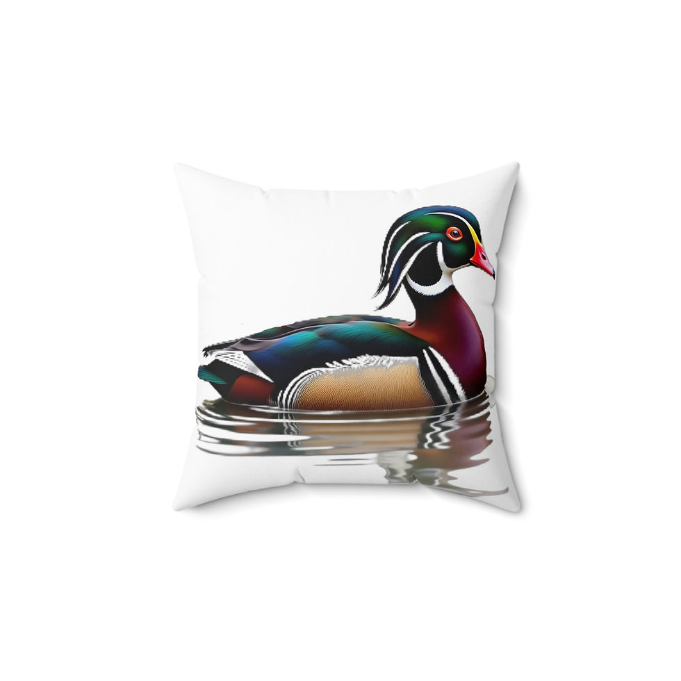 Colorful Wood Duck pillow