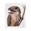 Thumbnail: Plush Blanket, Frogmouth Bird Velveteen