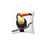 Thumbnail: Colorful toucan perched on branch pillow
