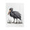 Thumbnail:  Plush Blanket, Shoebill (Balaeniceps rex)