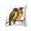 Thumbnail: Two colorful birds perched on a branch