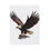 Thumbnail: Majestic bald eagle landing on rock