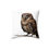 Thumbnail: Sri Lankan Toad-mouthed Owl Pillow, Spun