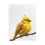 Thumbnail: Plush Blanket Canary Bird Design